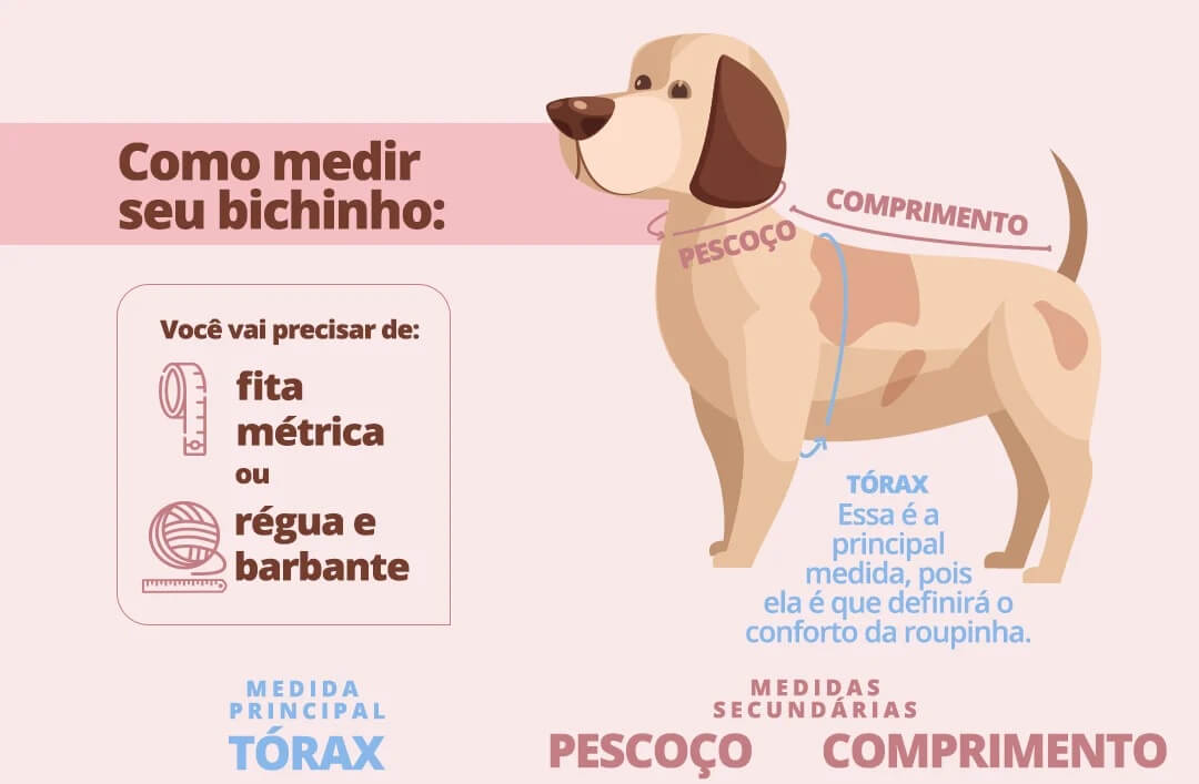 como medir seu cachorro agasalho