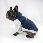 meu bicho agasalho moletom pet (2)