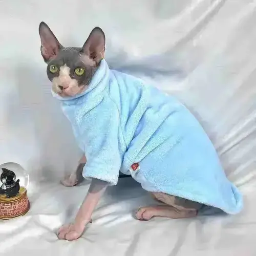 roupa-de-frio-para-gatos-moletom-inverno-azul-bebe