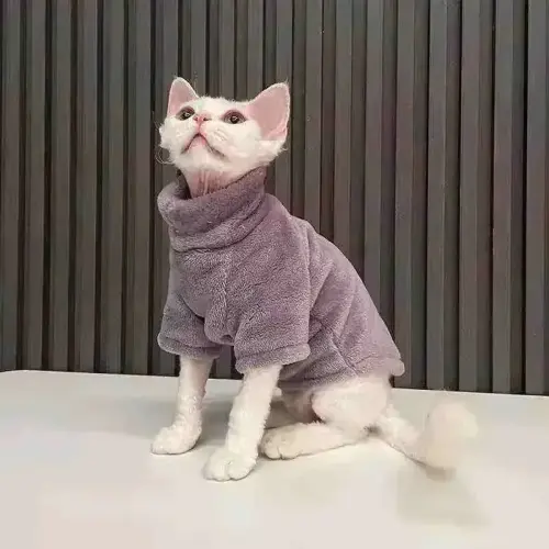 roupa-de-frio-para-gatos-moletom-inverno-roxo