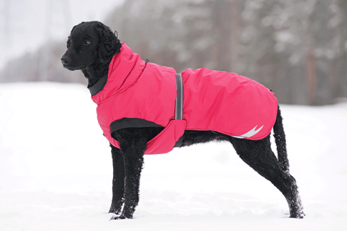 roupas-de-inverno-para-cachorro-meio-1